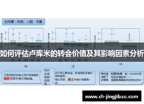 如何评估卢库米的转会价值及其影响因素分析